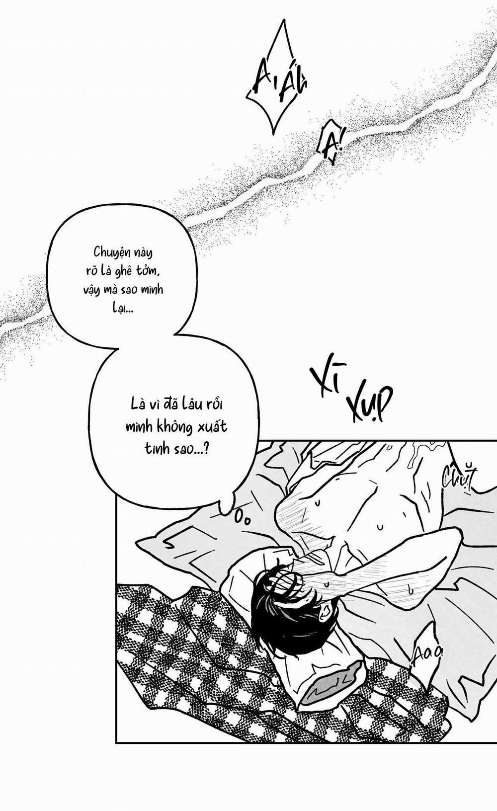 Sự Kết Hợp Hoàn Hảo 12 trang 10