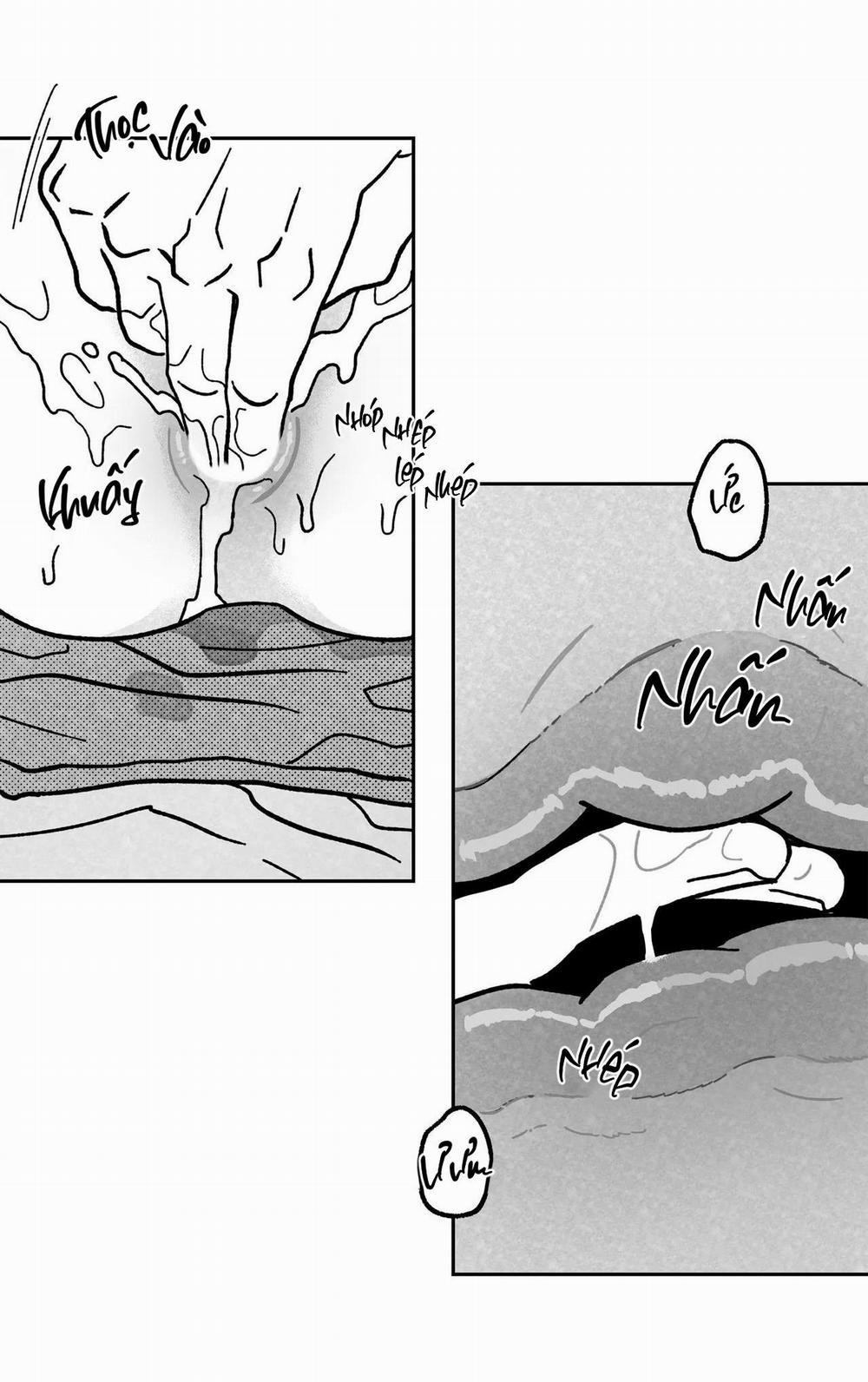 Sự Kết Hợp Hoàn Hảo 12 trang 13