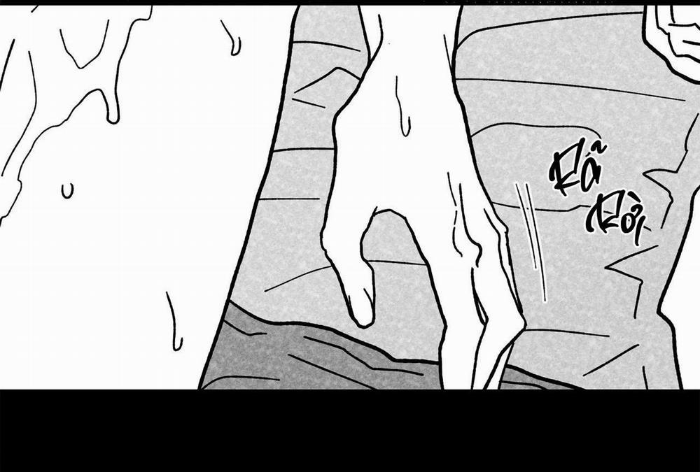 Sự Kết Hợp Hoàn Hảo 12 trang 39