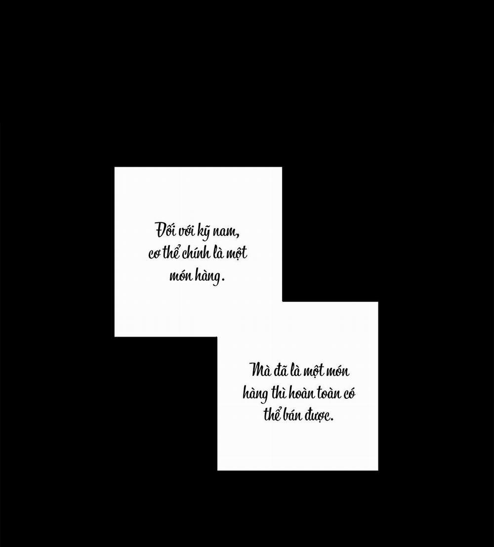 Sự Kết Hợp Hoàn Hảo 12 trang 5