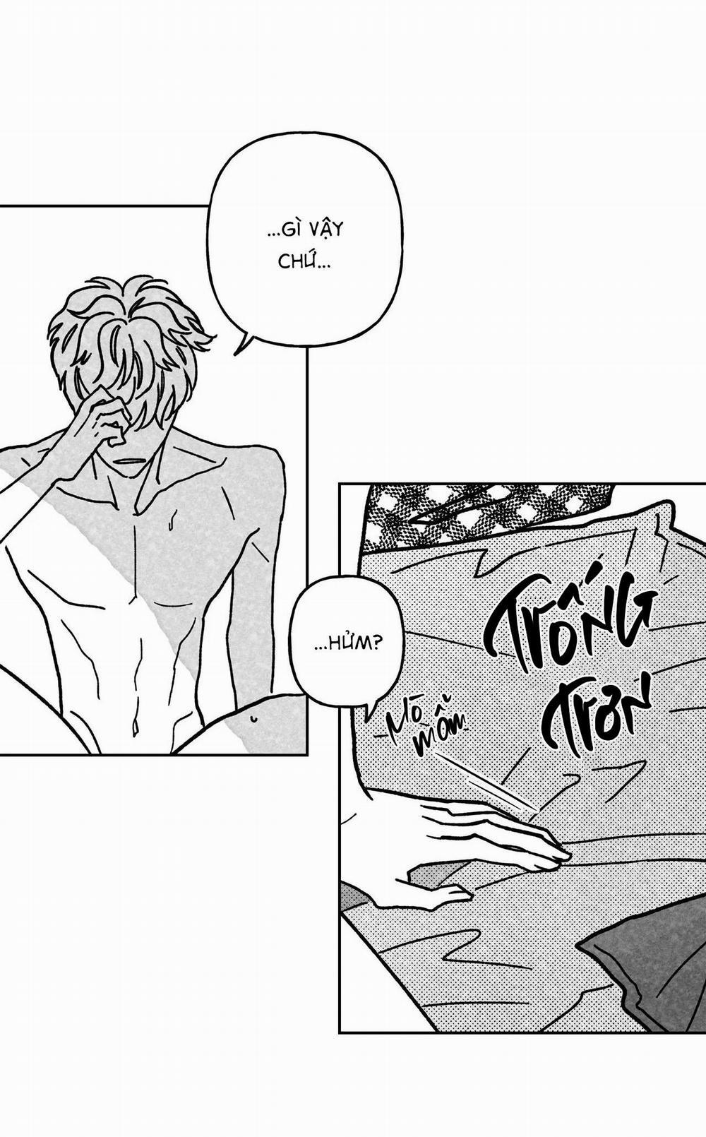 Sự Kết Hợp Hoàn Hảo 12 trang 62