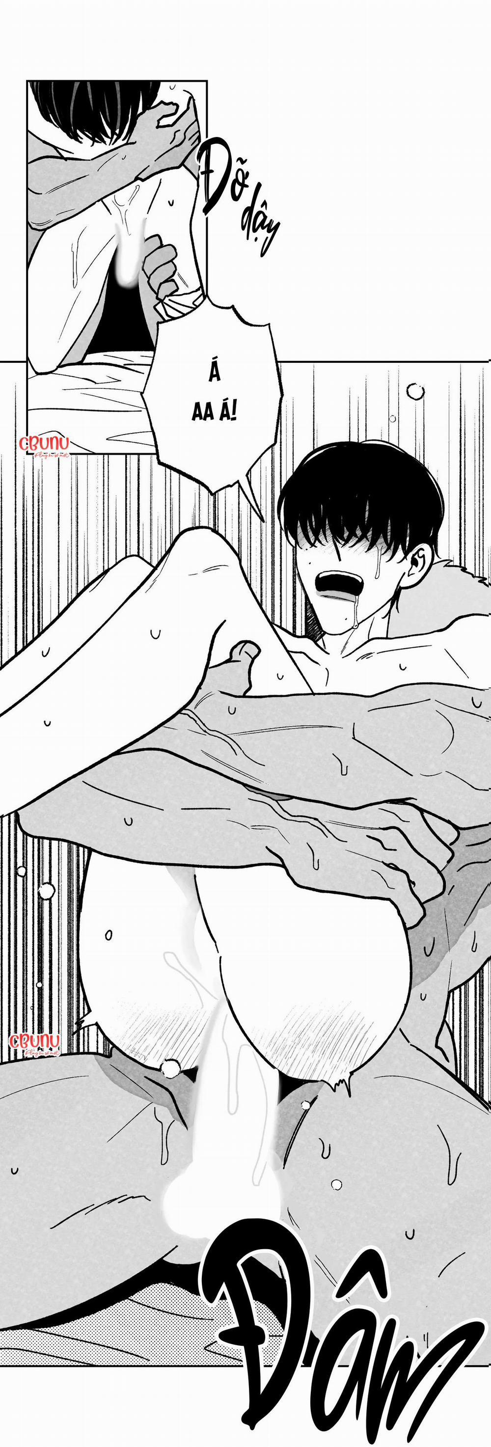 Sự Kết Hợp Hoàn Hảo 20 trang 12