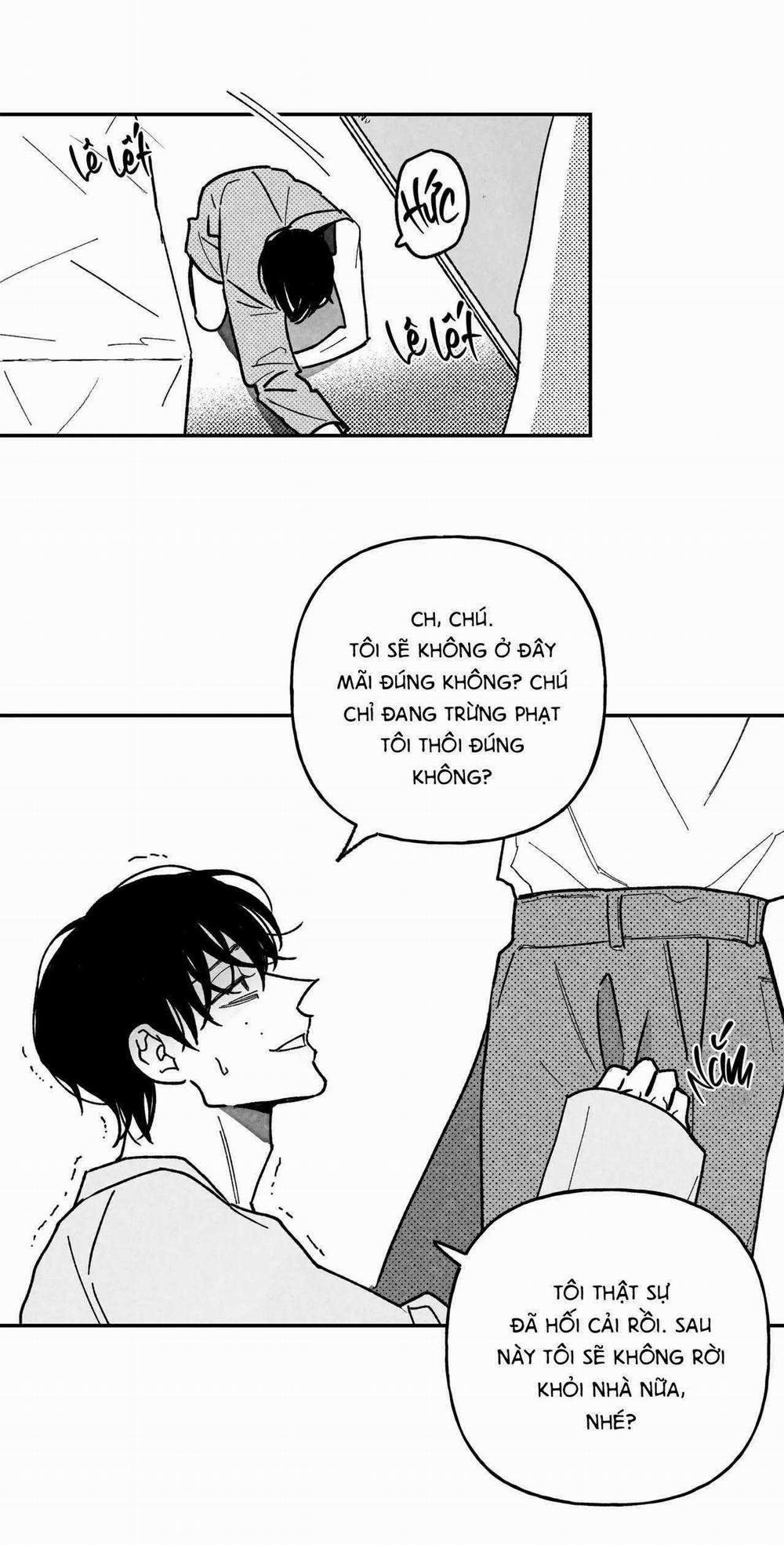 Sự Kết Hợp Hoàn Hảo 23 trang 13