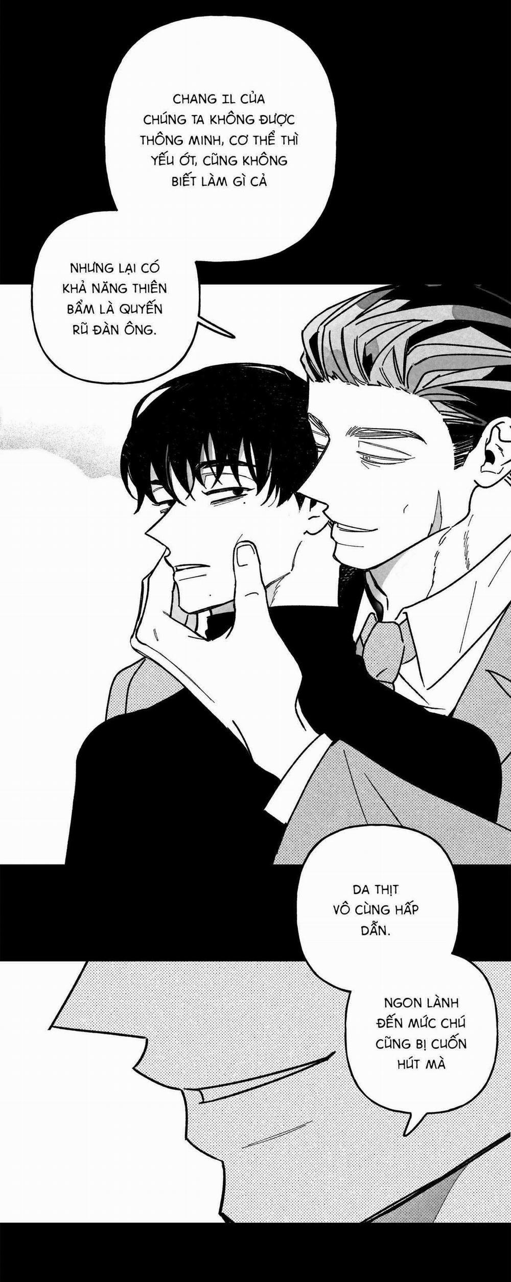 Sự Kết Hợp Hoàn Hảo 24 trang 13