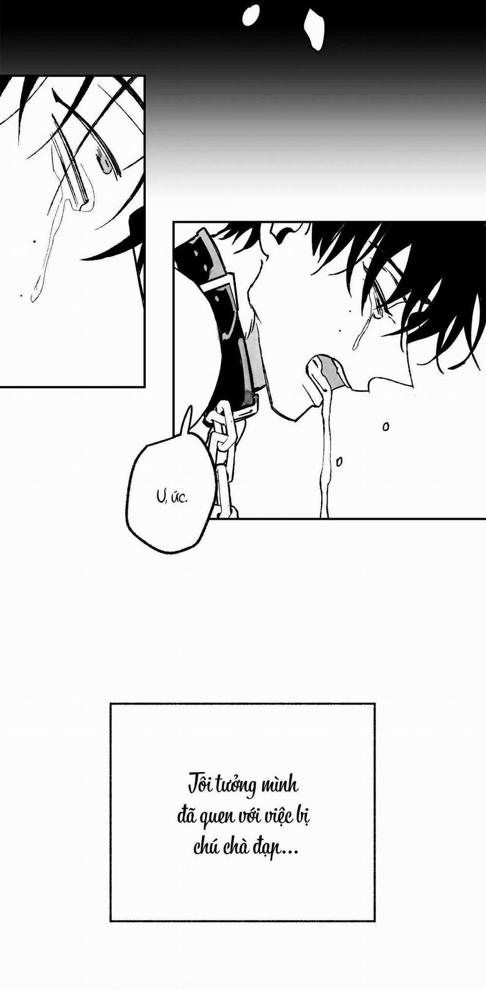 Sự Kết Hợp Hoàn Hảo 25 trang 11