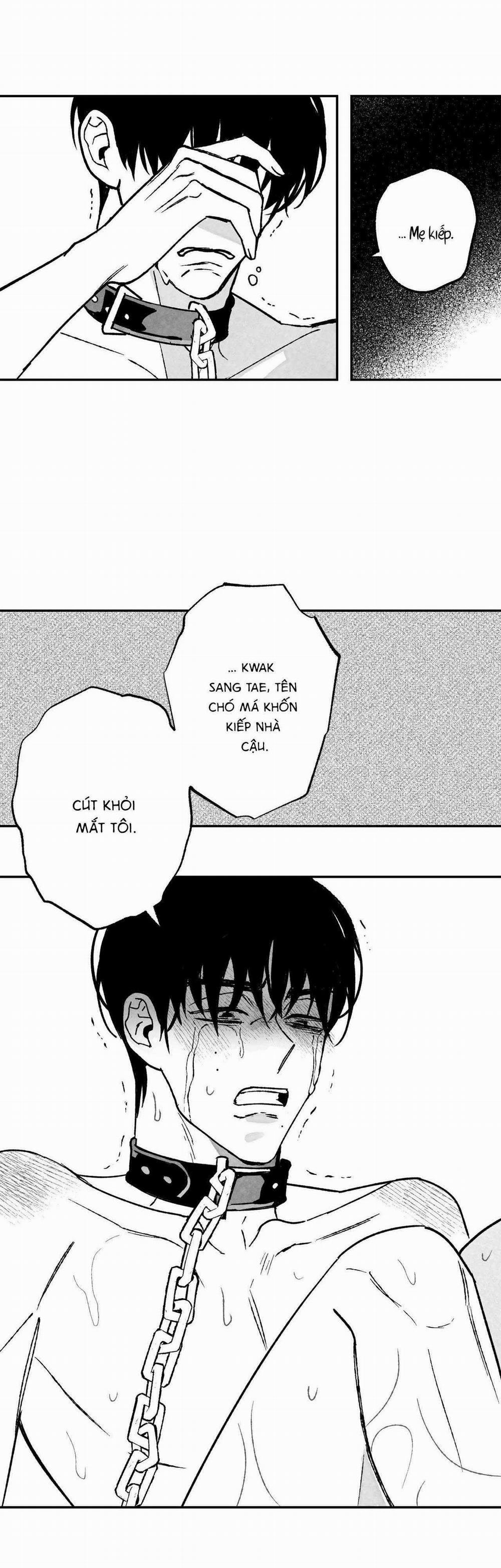 Sự Kết Hợp Hoàn Hảo 25 trang 23