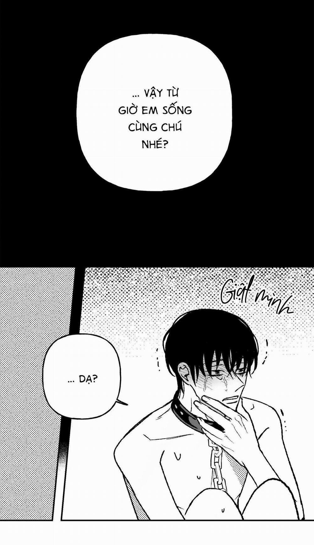 Sự Kết Hợp Hoàn Hảo 26 trang 23