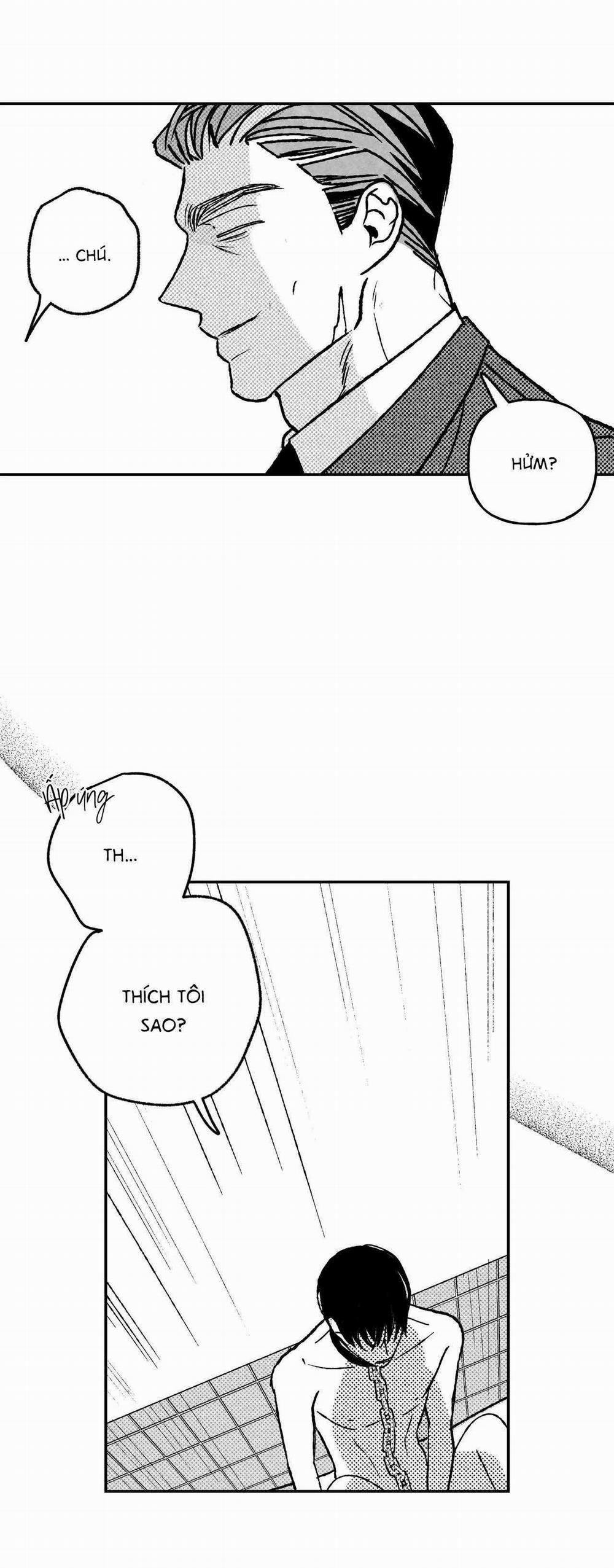 Sự Kết Hợp Hoàn Hảo 26 trang 28