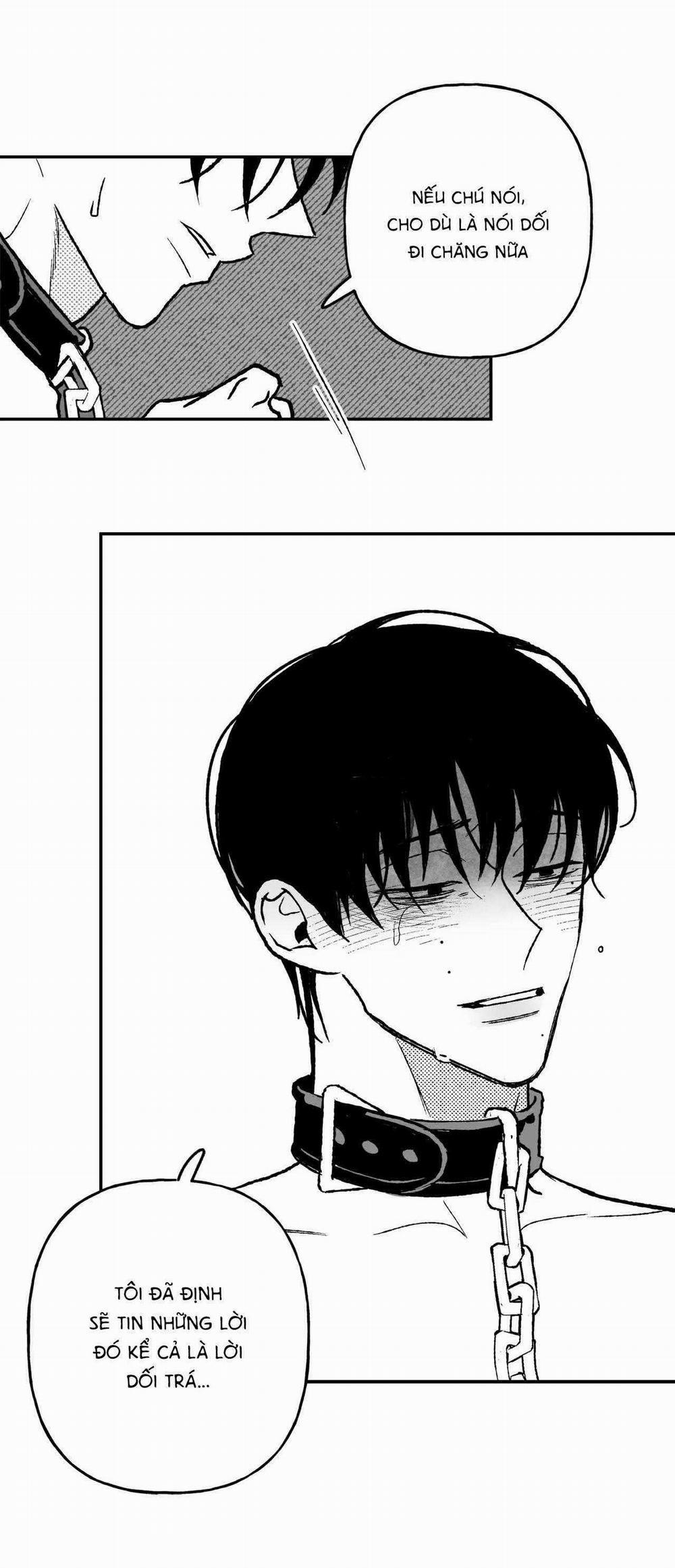 Sự Kết Hợp Hoàn Hảo 27 trang 7