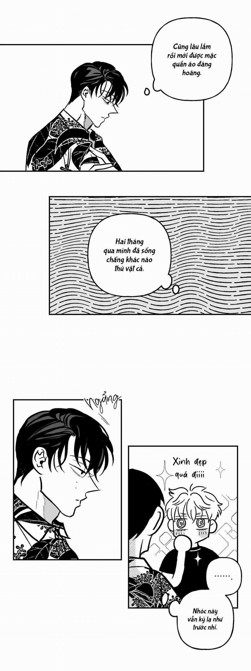 Sự Kết Hợp Hoàn Hảo 29 trang 11