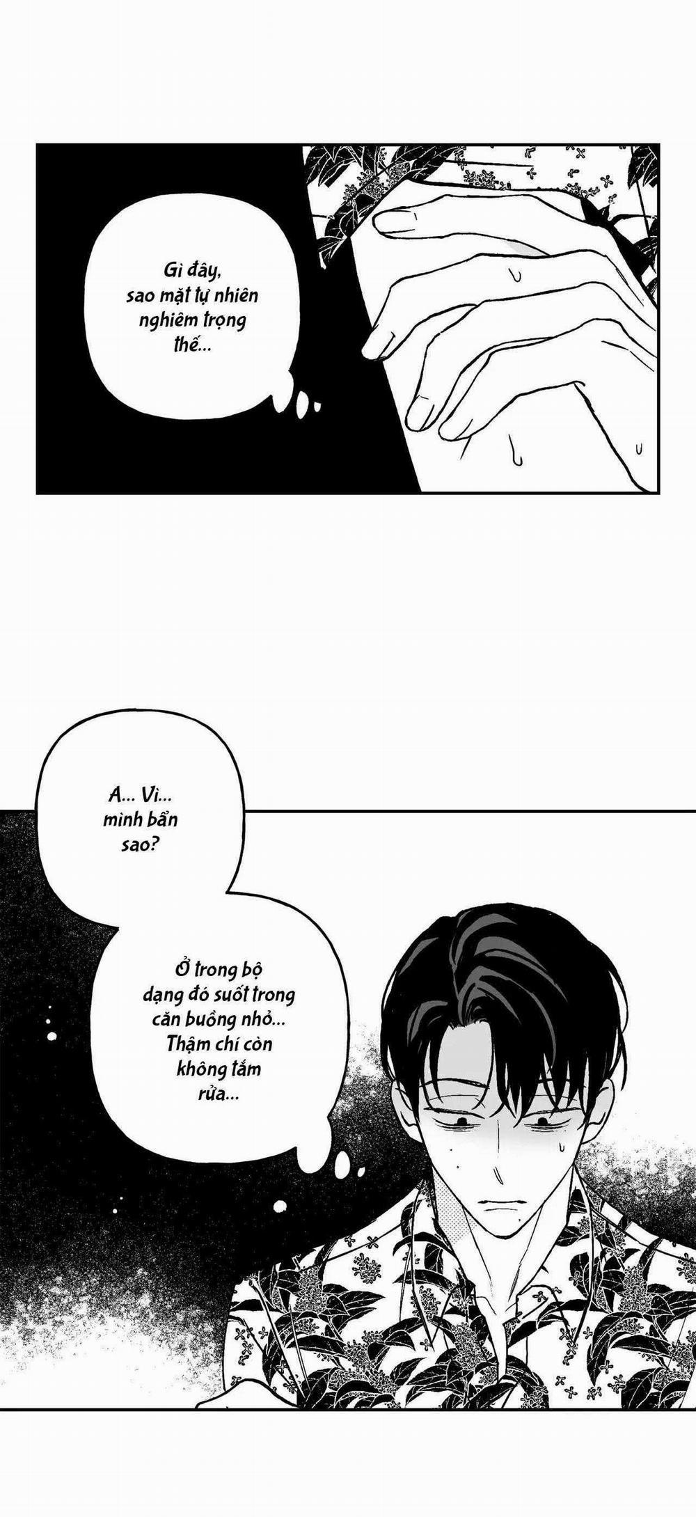 Sự Kết Hợp Hoàn Hảo 29 trang 29