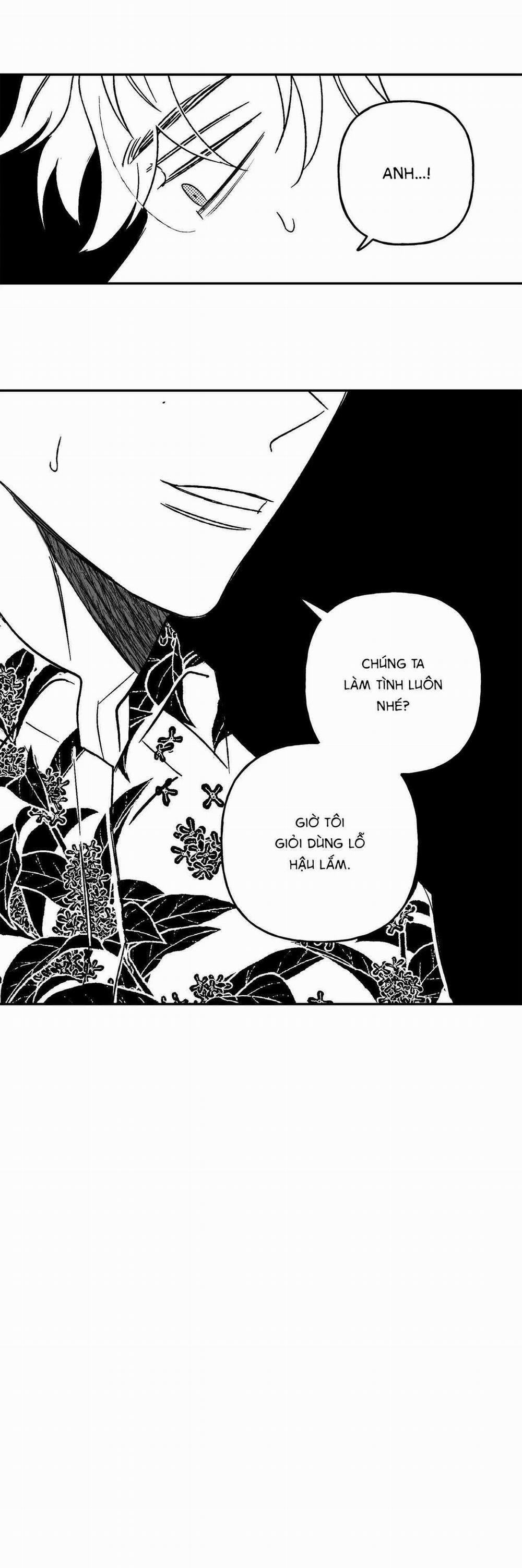 Sự Kết Hợp Hoàn Hảo 29 trang 35