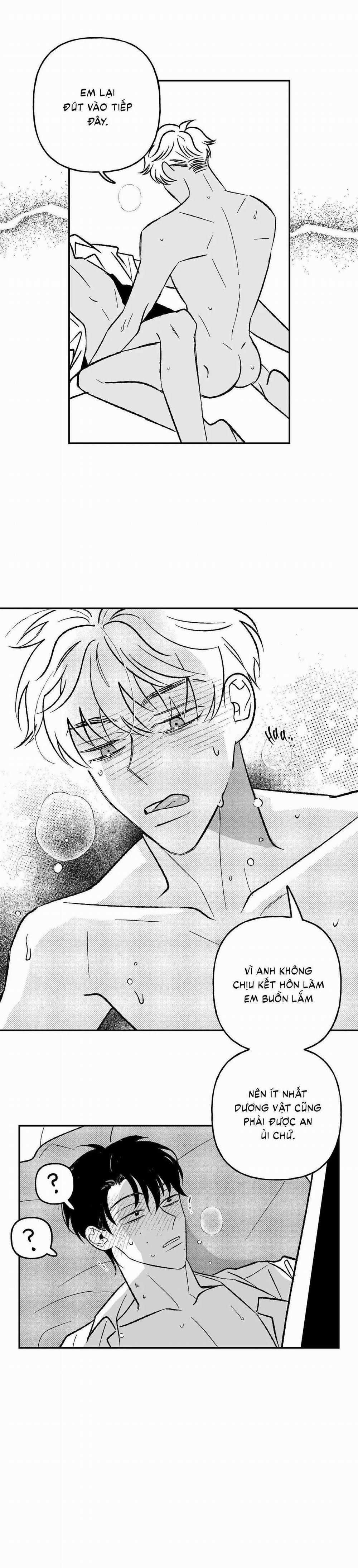 Sự Kết Hợp Hoàn Hảo 33 trang 29