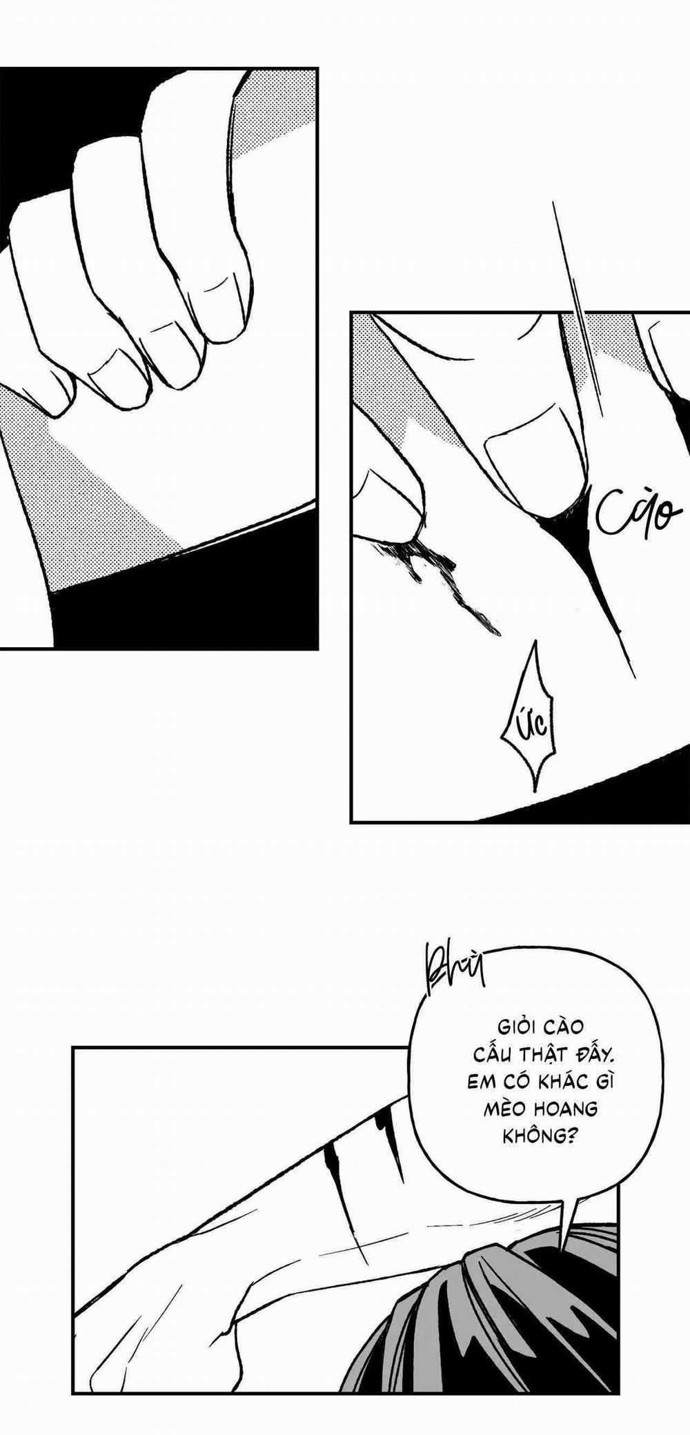 Sự Kết Hợp Hoàn Hảo 38 trang 1