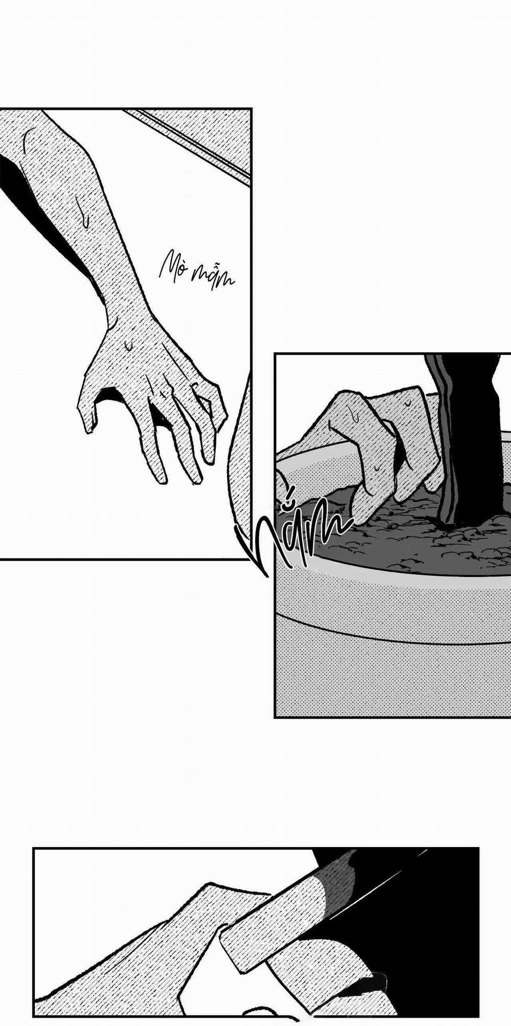 Sự Kết Hợp Hoàn Hảo 38 trang 10