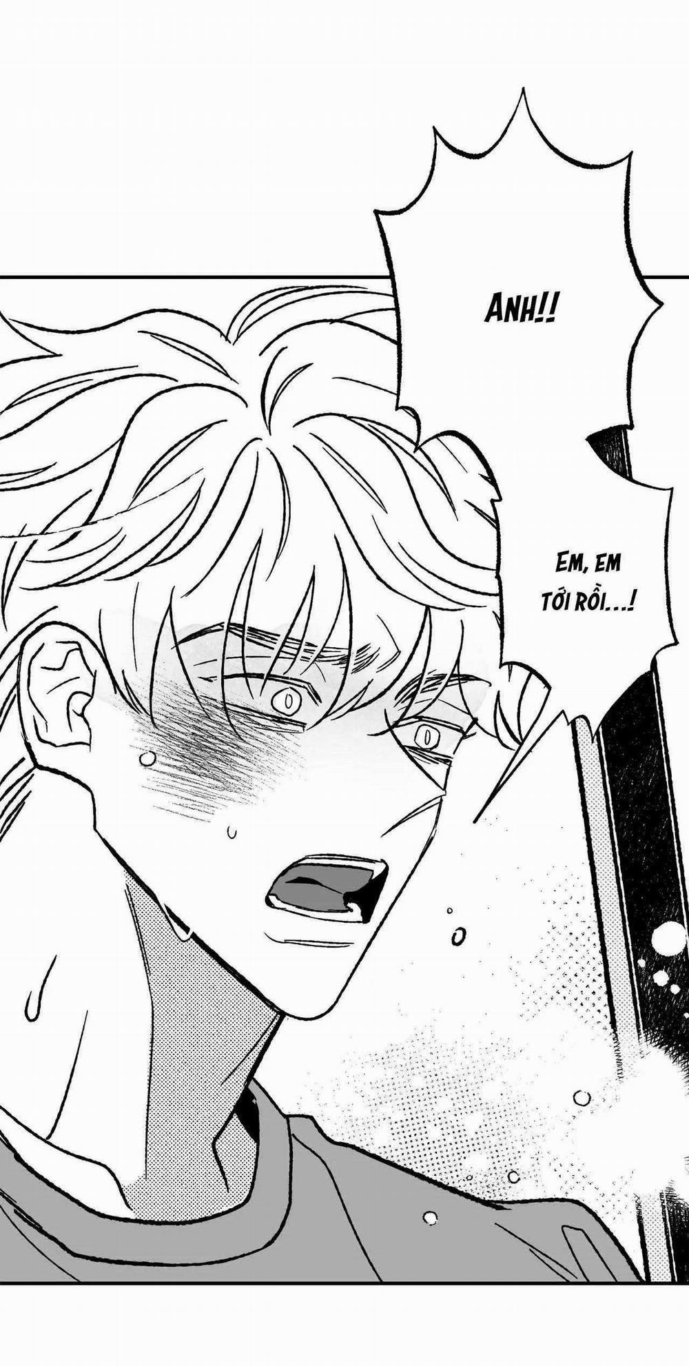 Sự Kết Hợp Hoàn Hảo 38 trang 15