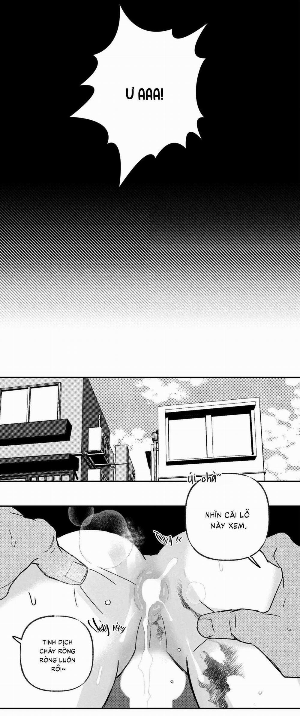 Sự Kết Hợp Hoàn Hảo 40 trang 13