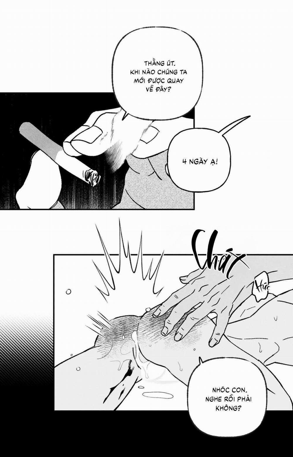 Sự Kết Hợp Hoàn Hảo 40 trang 15