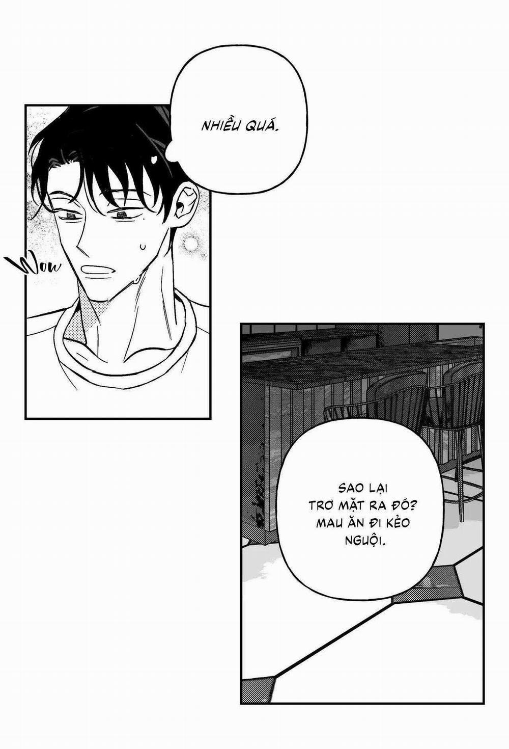 Sự Kết Hợp Hoàn Hảo 41 trang 13