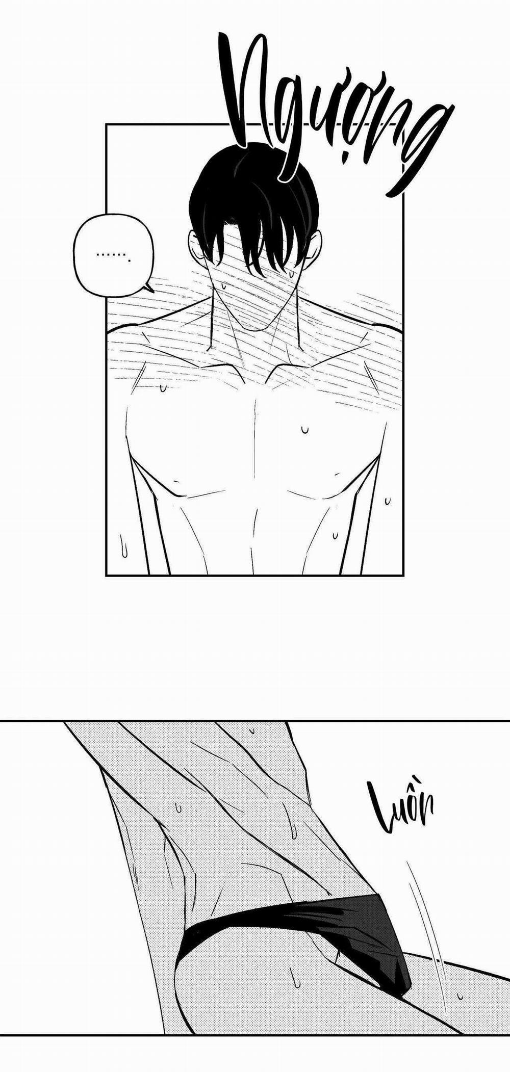 Sự Kết Hợp Hoàn Hảo 45 trang 14