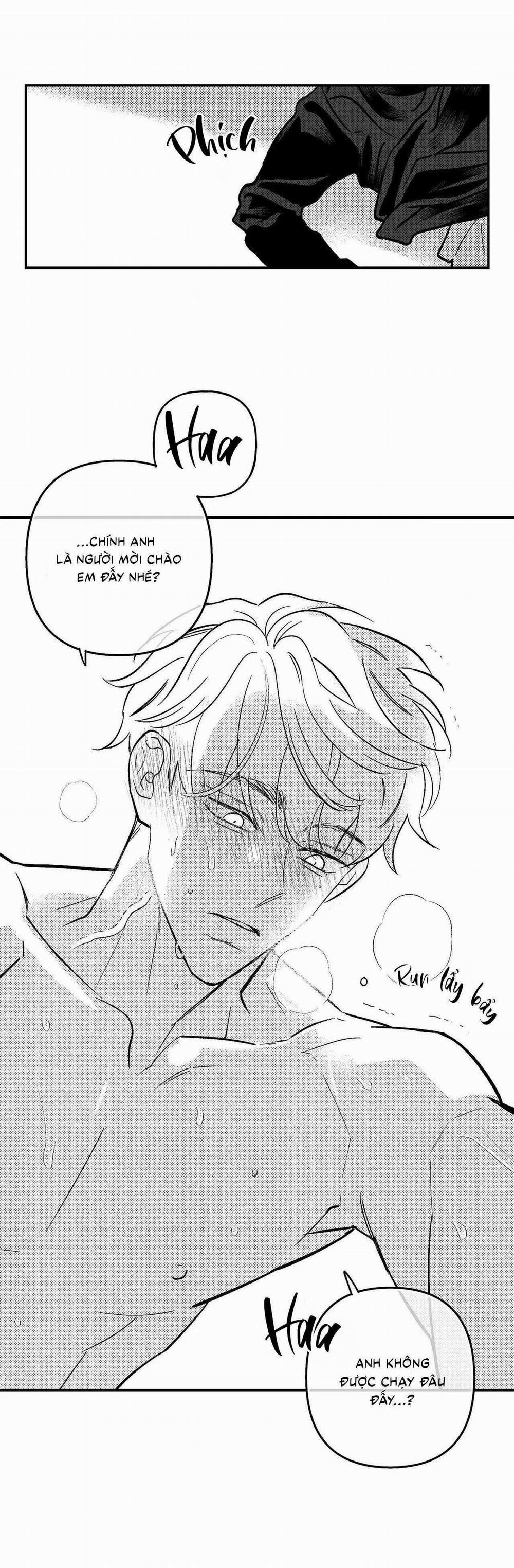 Sự Kết Hợp Hoàn Hảo 46 trang 29