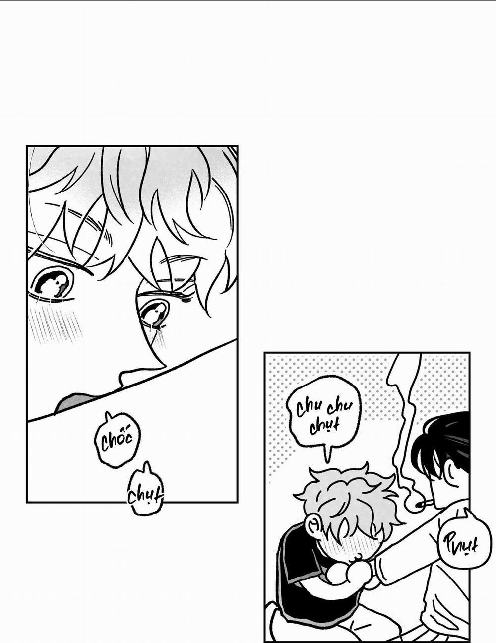 Sự Kết Hợp Hoàn Hảo 5 trang 48