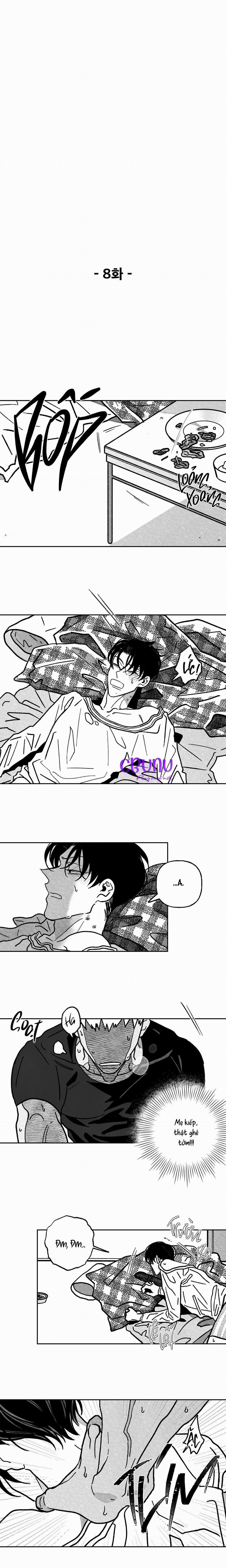 Sự Kết Hợp Hoàn Hảo 8 trang 2