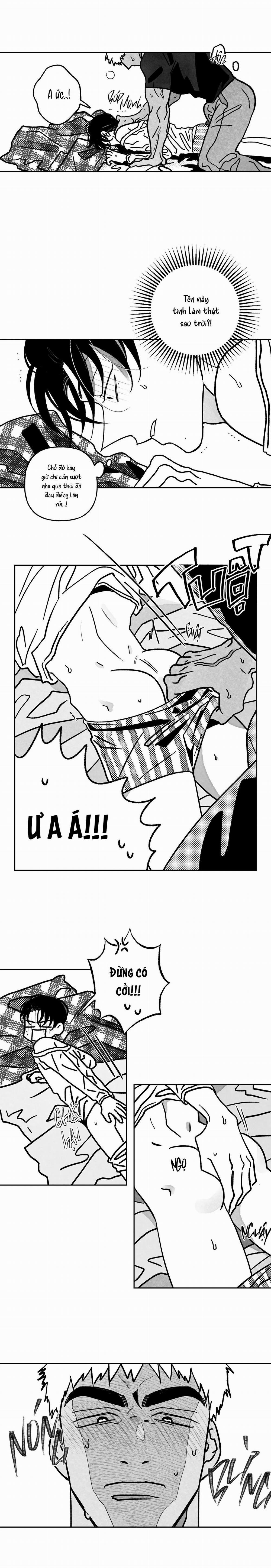 Sự Kết Hợp Hoàn Hảo 8 trang 3