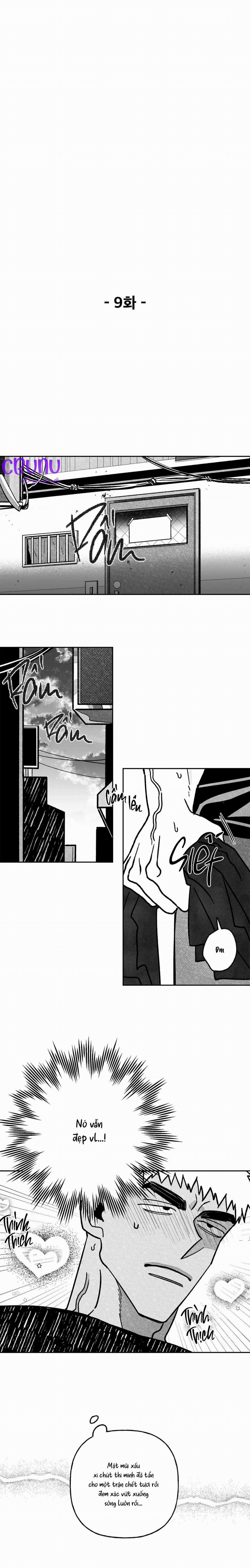 Sự Kết Hợp Hoàn Hảo 9 trang 2