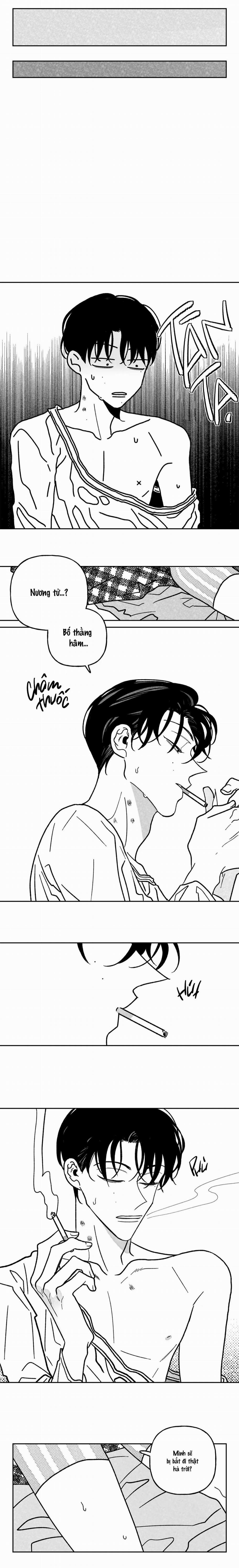 Sự Kết Hợp Hoàn Hảo 9 trang 7