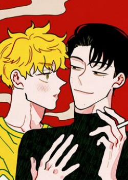 Đọc truyện tranh Sự Kết Hợp Hoàn Hảo