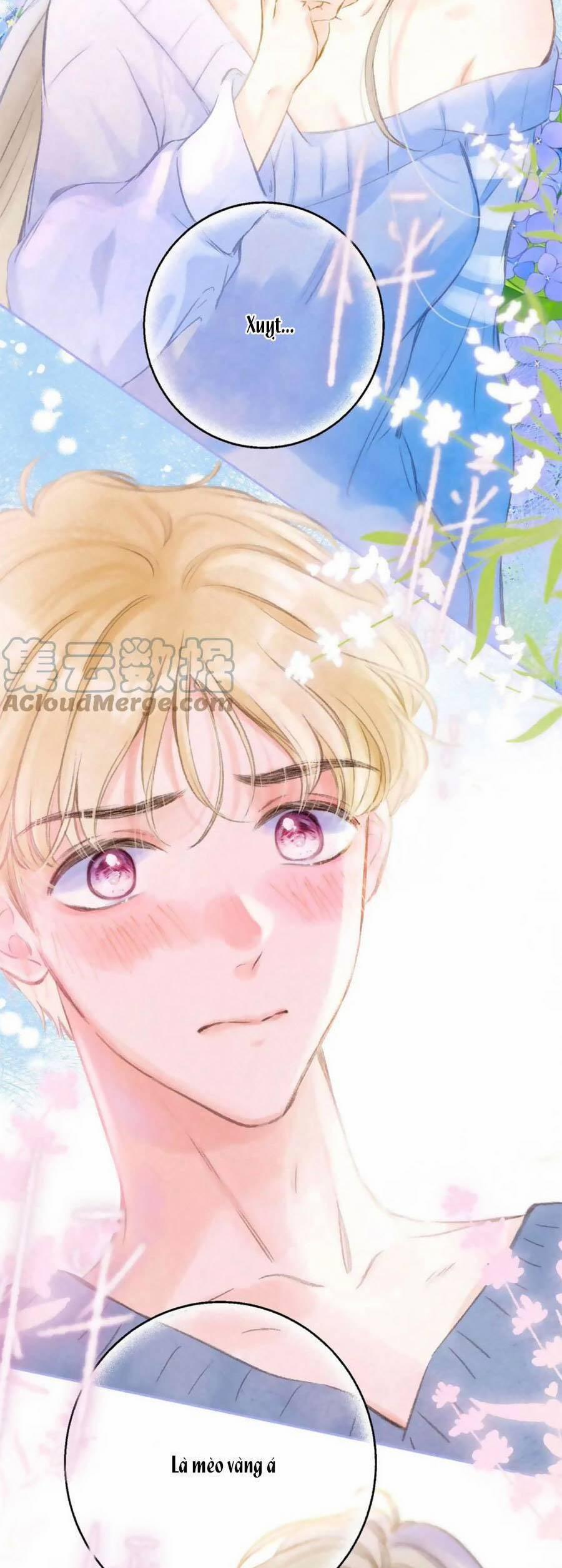 Sự Khuấy Động Ngọt Ngào 23 trang 25