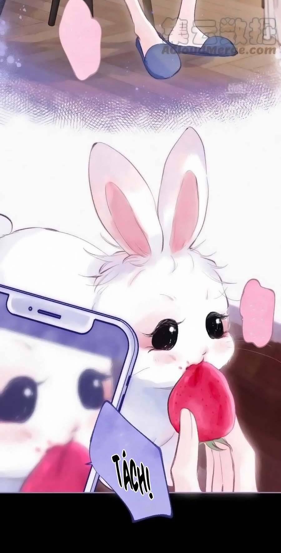 Sự Khuấy Động Ngọt Ngào 27 trang 6