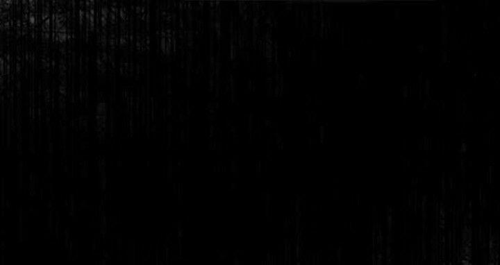 Sự Lãng Mạn Còn Tồn Tại 40 trang 14