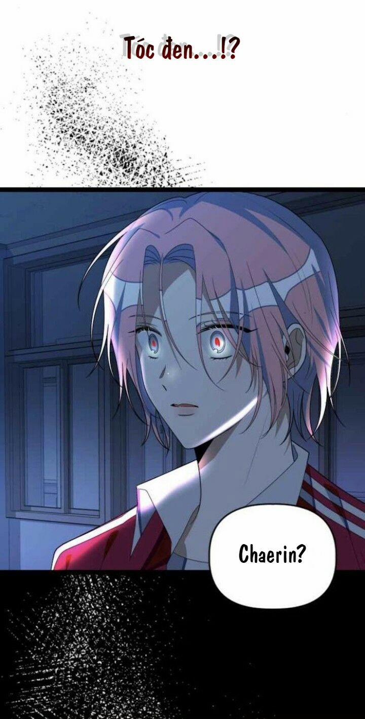 Sự Lãng Mạn Còn Tồn Tại 42 trang 33