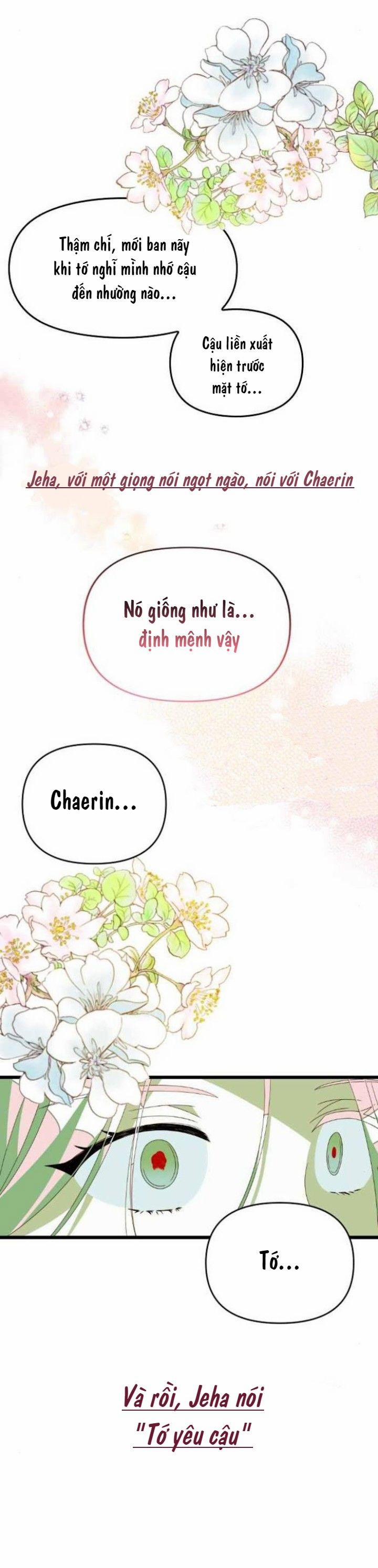 Sự Lãng Mạn Còn Tồn Tại 47 trang 20