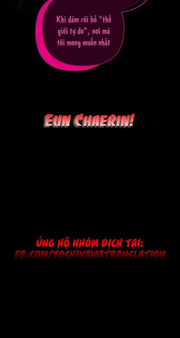 Sự Lãng Mạn Còn Tồn Tại 50 trang 46