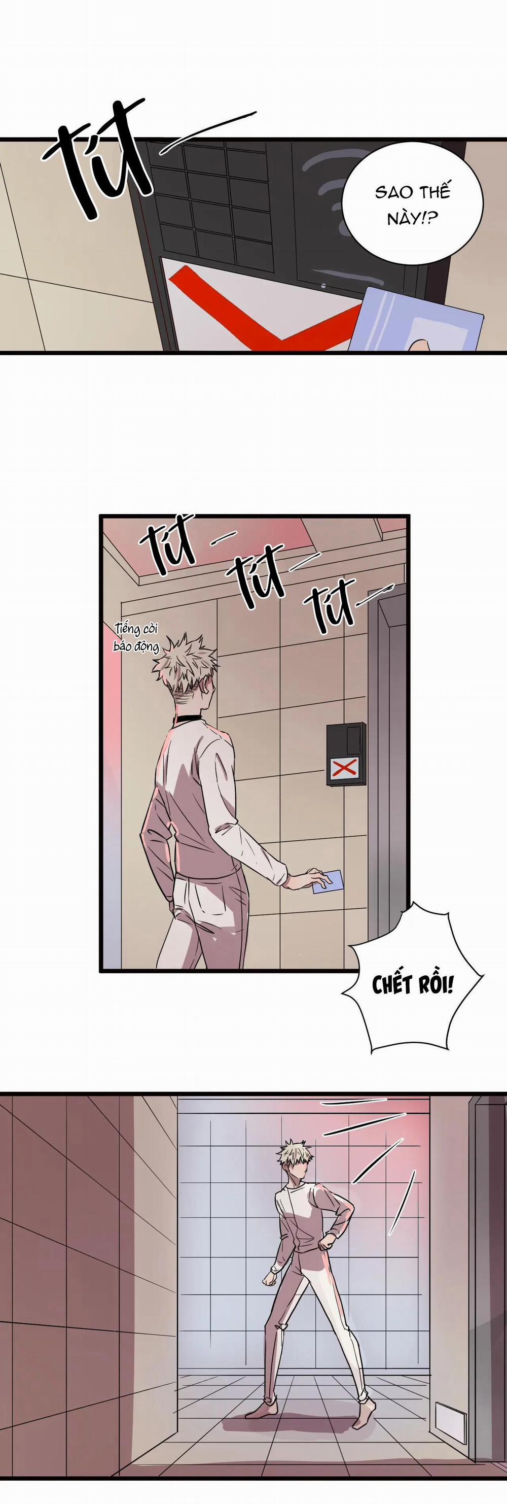 Sự Lạnh Lùng Của Tôi 44 trang 6