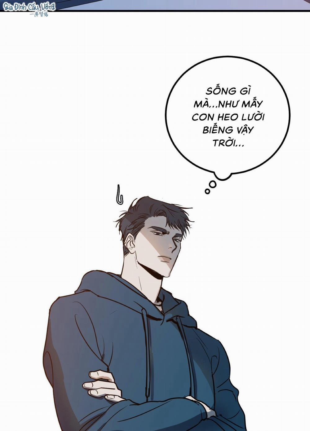 Sự lệ thuộc phức tạp 4 trang 41