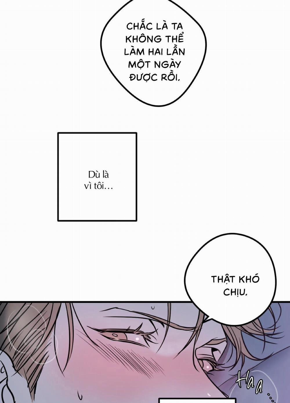 Sự lệ thuộc phức tạp 8 trang 37