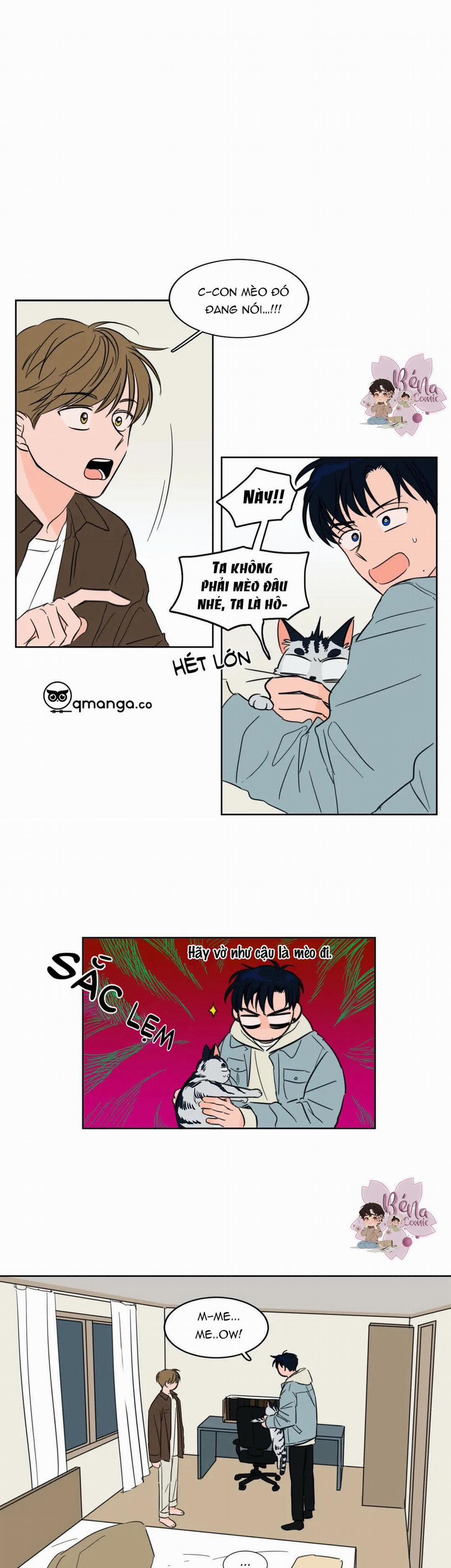 Sự Mê Hoặc Huyền Bí 4 trang 0