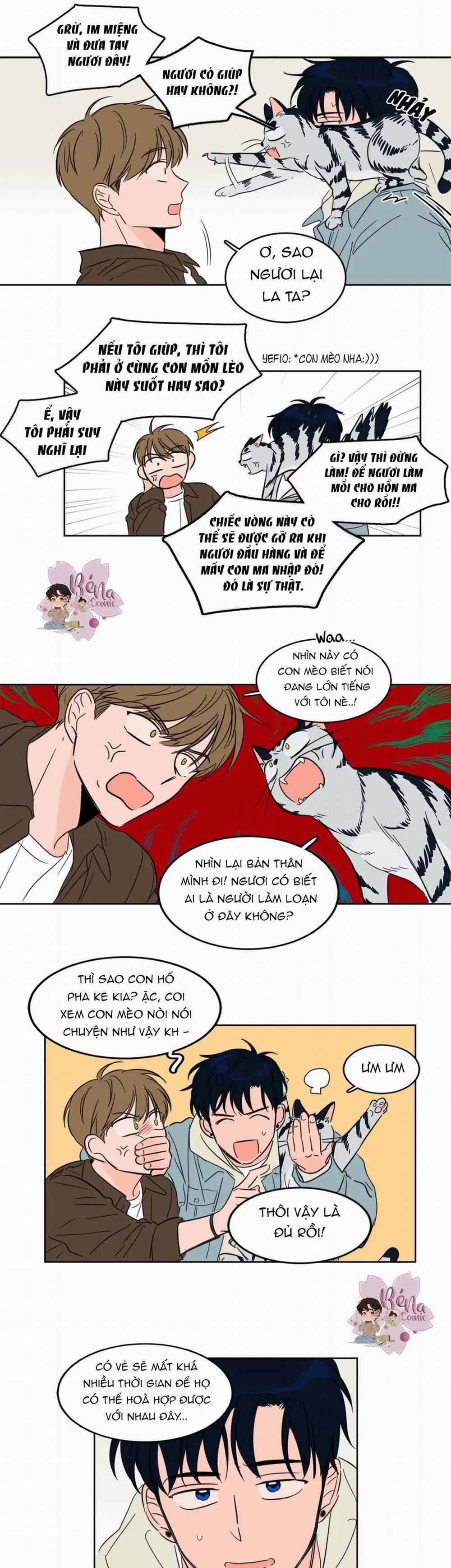 Sự Mê Hoặc Huyền Bí 4 trang 13