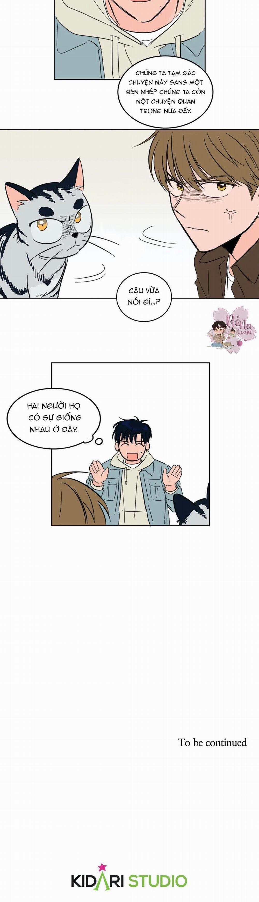 Sự Mê Hoặc Huyền Bí 4 trang 14