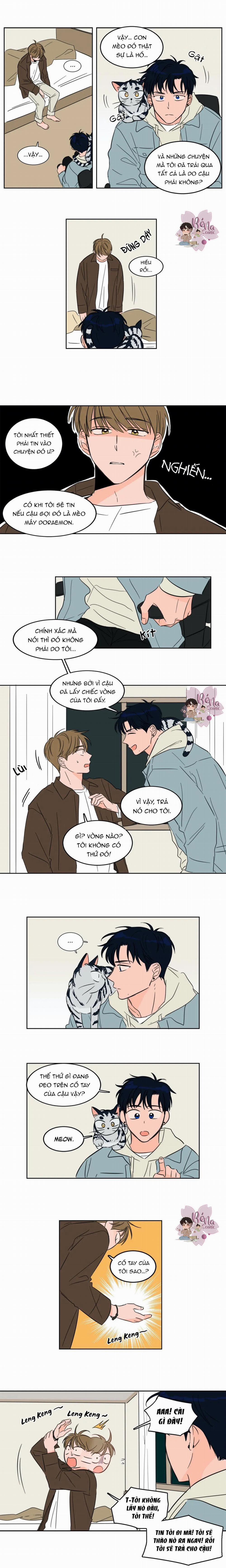 Sự Mê Hoặc Huyền Bí 4 trang 2