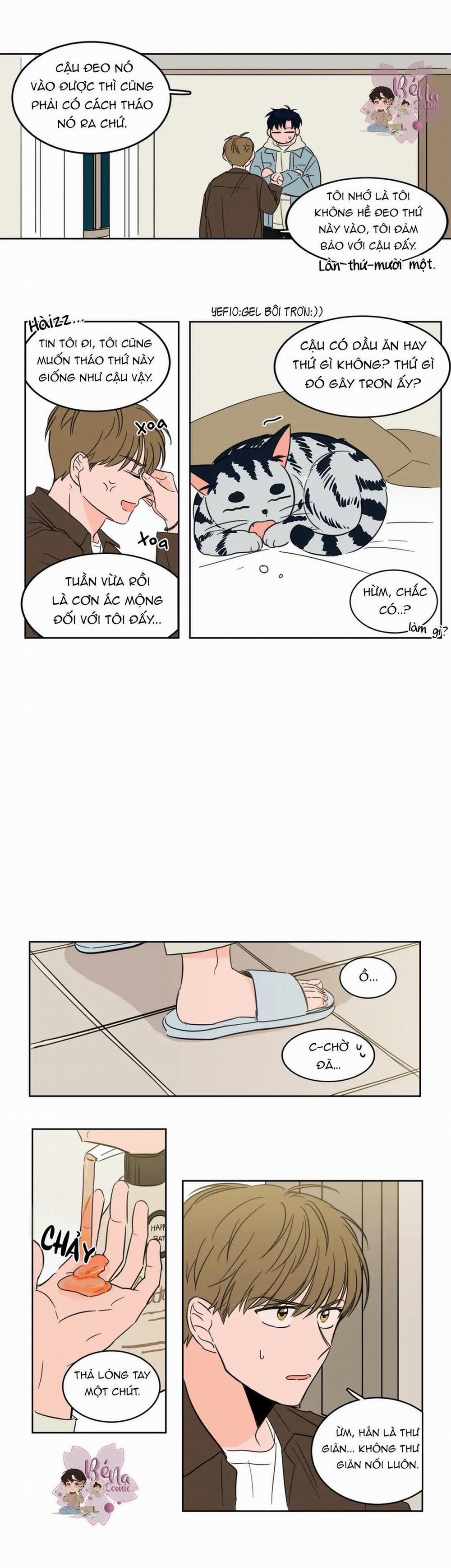 Sự Mê Hoặc Huyền Bí 4 trang 4