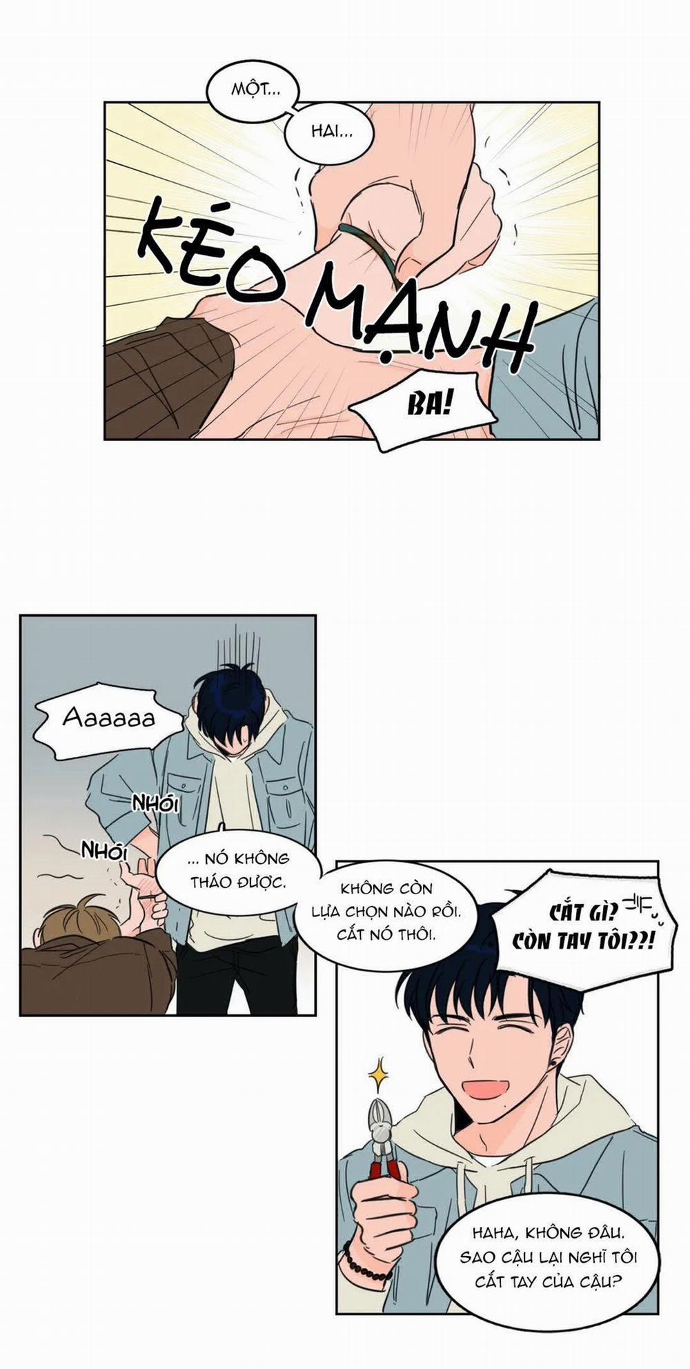 Sự Mê Hoặc Huyền Bí 4 trang 7