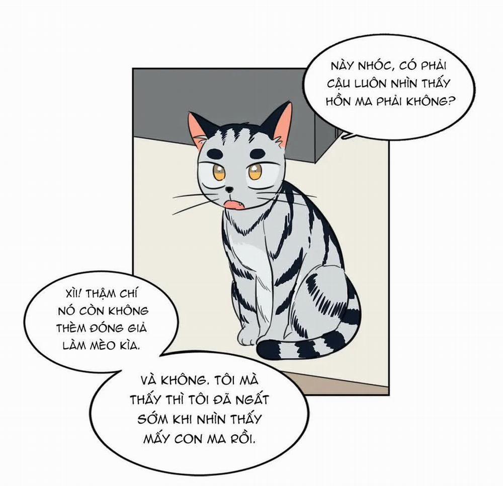 Sự Mê Hoặc Huyền Bí 4 trang 8