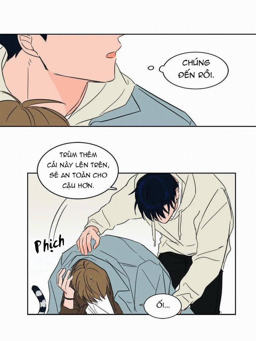 Sự Mê Hoặc Huyền Bí 5 trang 10