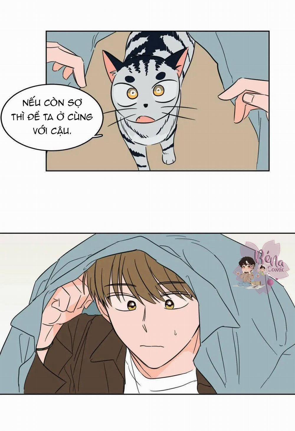 Sự Mê Hoặc Huyền Bí 5 trang 11