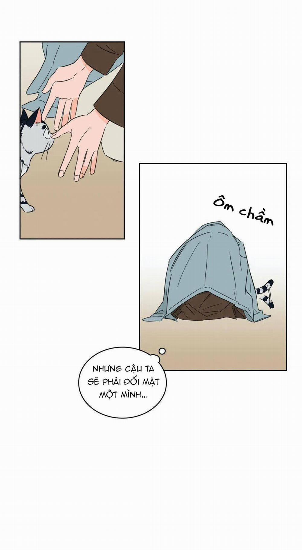 Sự Mê Hoặc Huyền Bí 5 trang 12